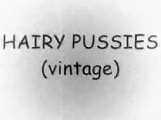 Vintage Pussies Tubepornclassic Com